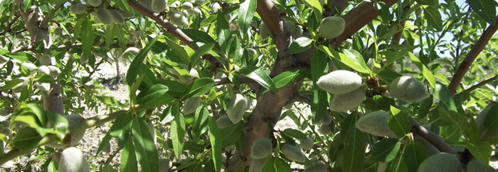 banner-1420452505-1.png